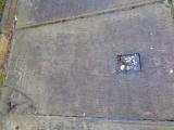 image of grave number 956828